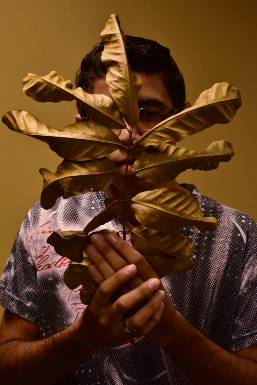 Alunos do Liceu Claudio Santoro realizam exposição no Bumbódramo em Parintins