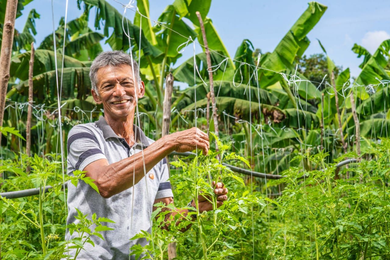 Documentário sobre a agricultura familiar do Amazonas será exibido na TV Band