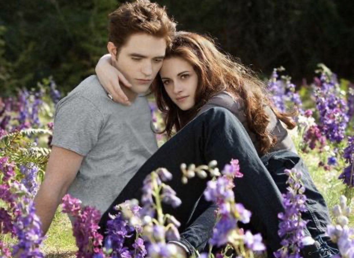 Autora de Crepúsculo abre 'contagem' em site e fãs descobrem novo livro