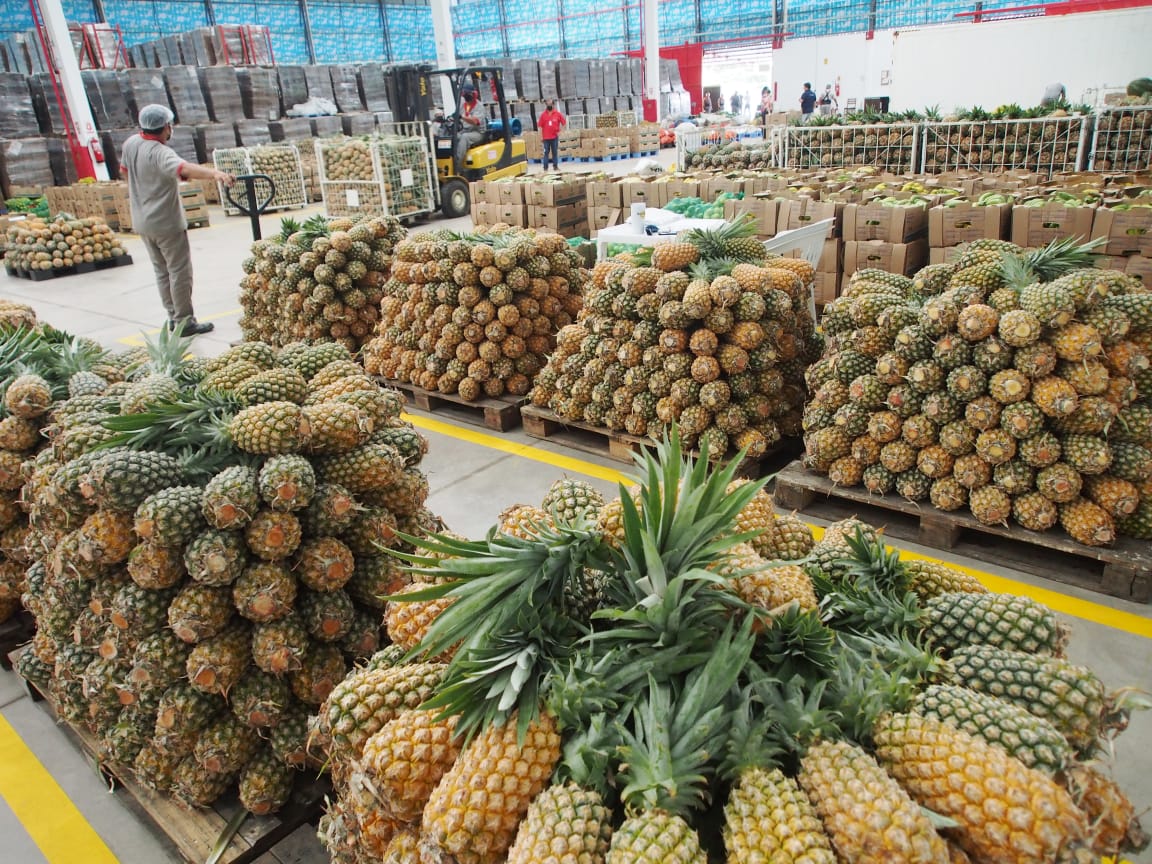 Agência de Desenvolvimento Sustentável compra mais de 82 toneladas de alimentos para doação