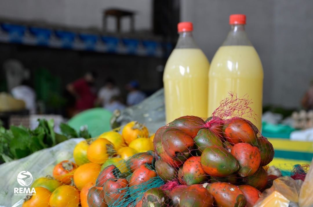 'Agroecologia e Consumo Consciente' no contexto pandemia