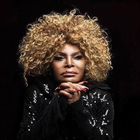 Elza Soares ganha homenagem do Baixo Augusta por seus 90 anos; veja