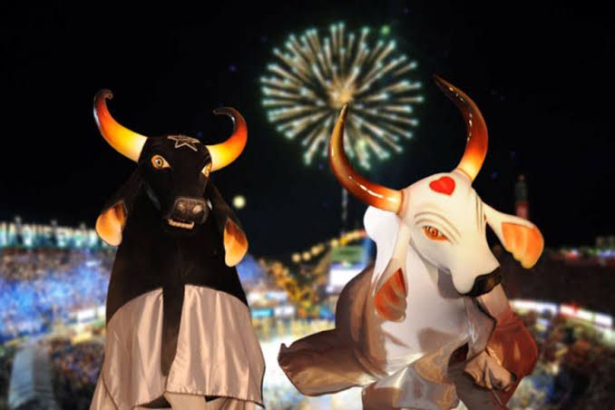 Homenagem do Portal Mazé Mourão para todos os parintinenses!