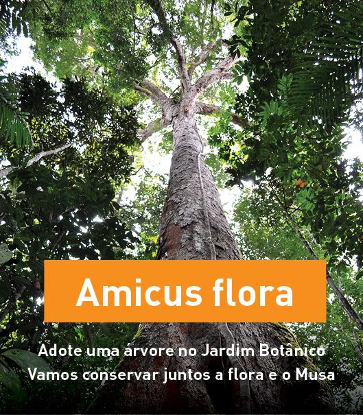 Museu da Amazônia lança projeto Amicus Flora