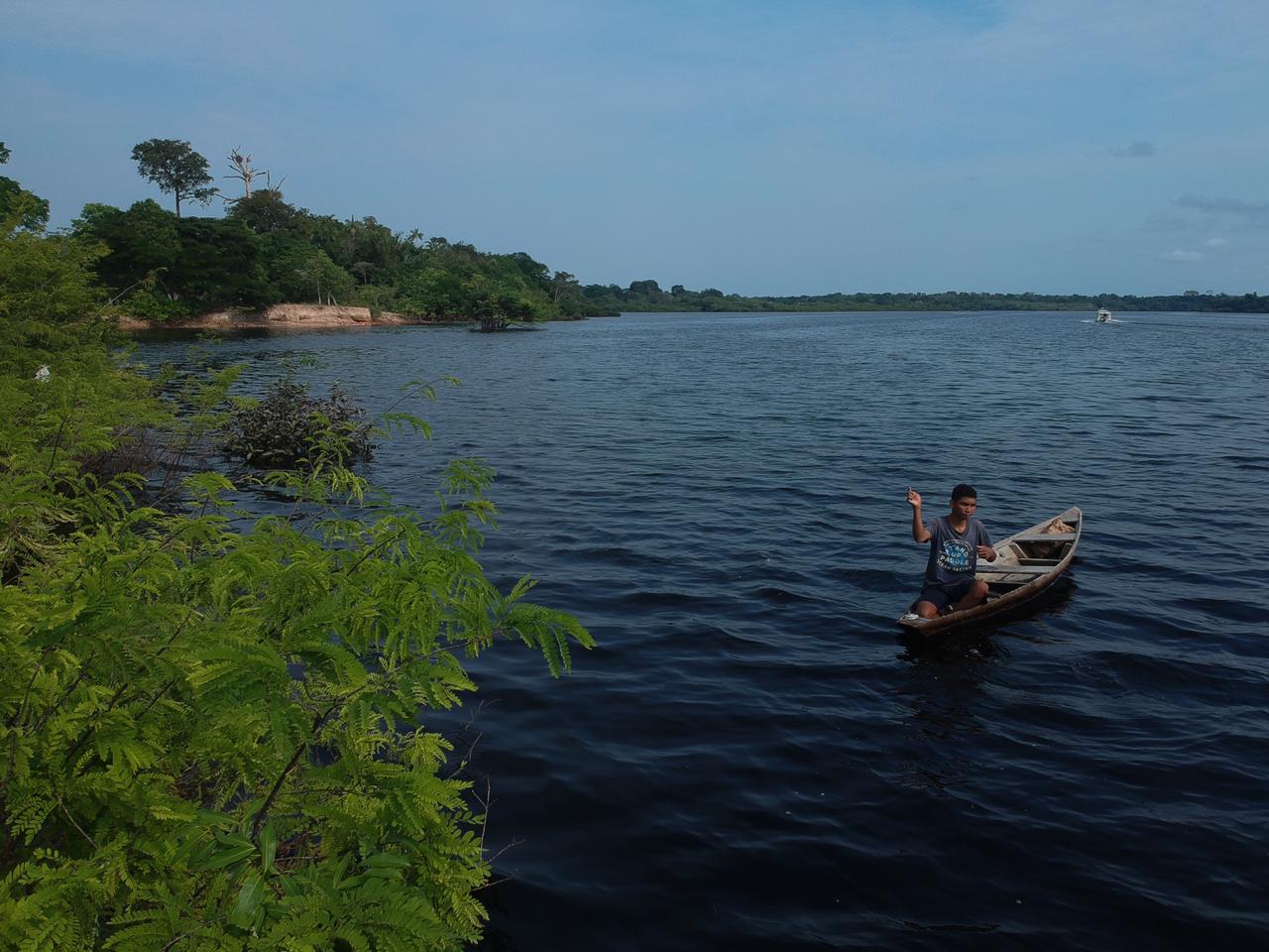 Ações e eventos virtuais celebram o Dia da Amazônia