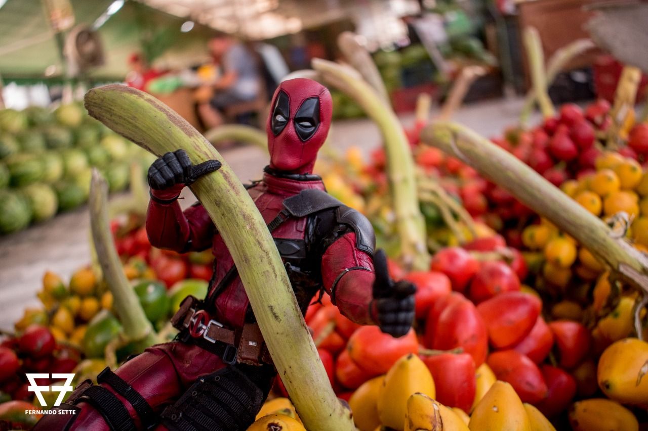 Encerra neste final de semana a ‘BR Toys Collections’ com maiores ícones da cultura pop mundial