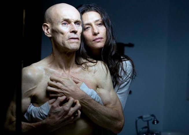 "Babenco", de Bárbara Paz, será representante brasileiro em busca de vaga no Oscar 2021