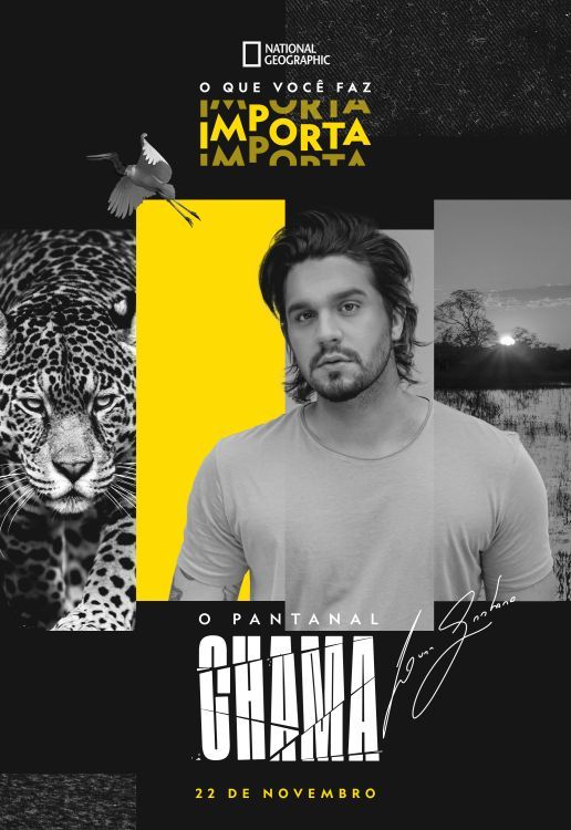 Luan santana promove live em prol do pantanal neste domingo (22) pelo canal national geographic