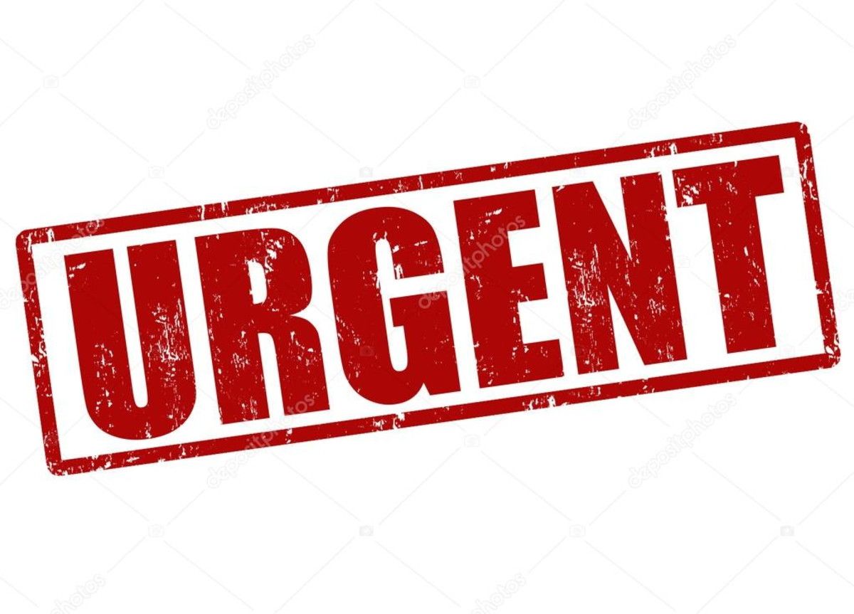 Governo do Amazonas publica novo decreto