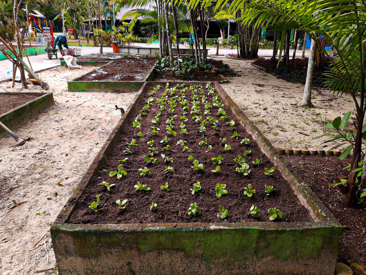 Parque do Mindu recebe viveiro de plantas medicinais