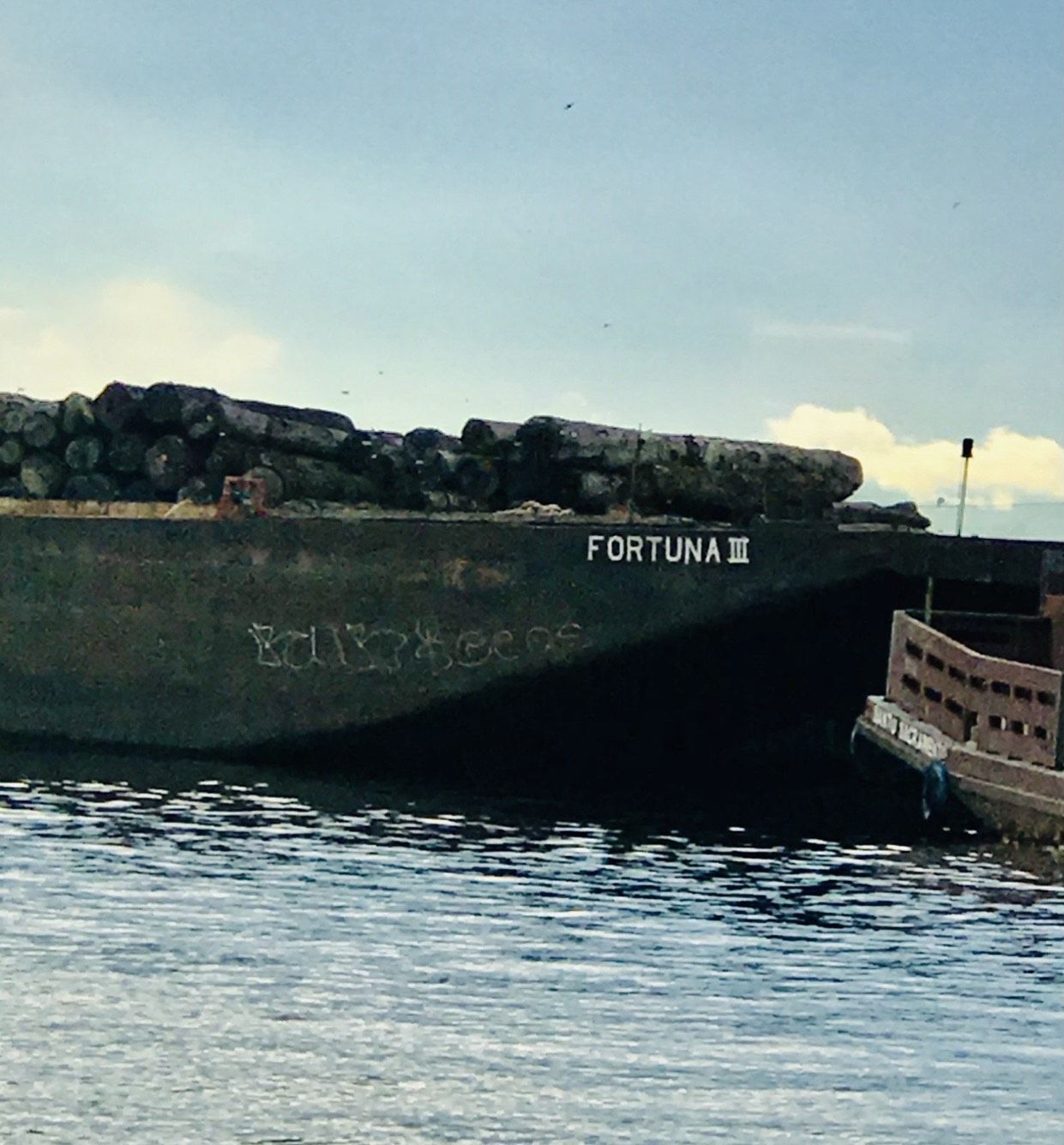 Crime ambiental e a falta de madeira certificada