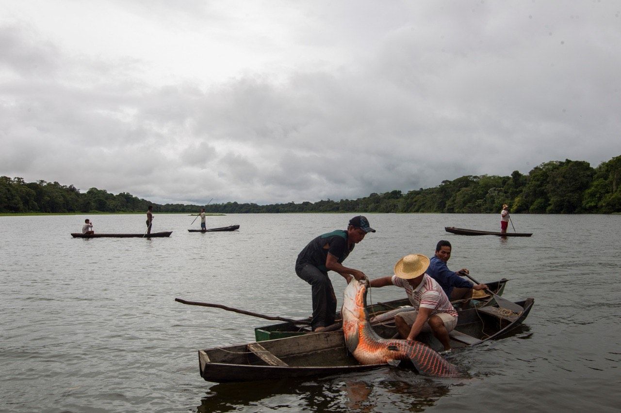 Fotógrafo lança livro sobre desenvolvimento sustentável na Amazônia