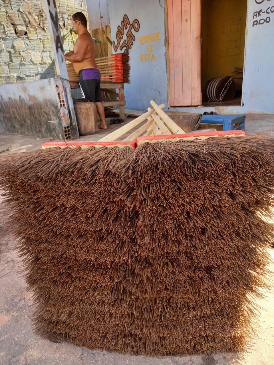 Governo inclui piaçava no programa estadual de subvenção aos extrativistas