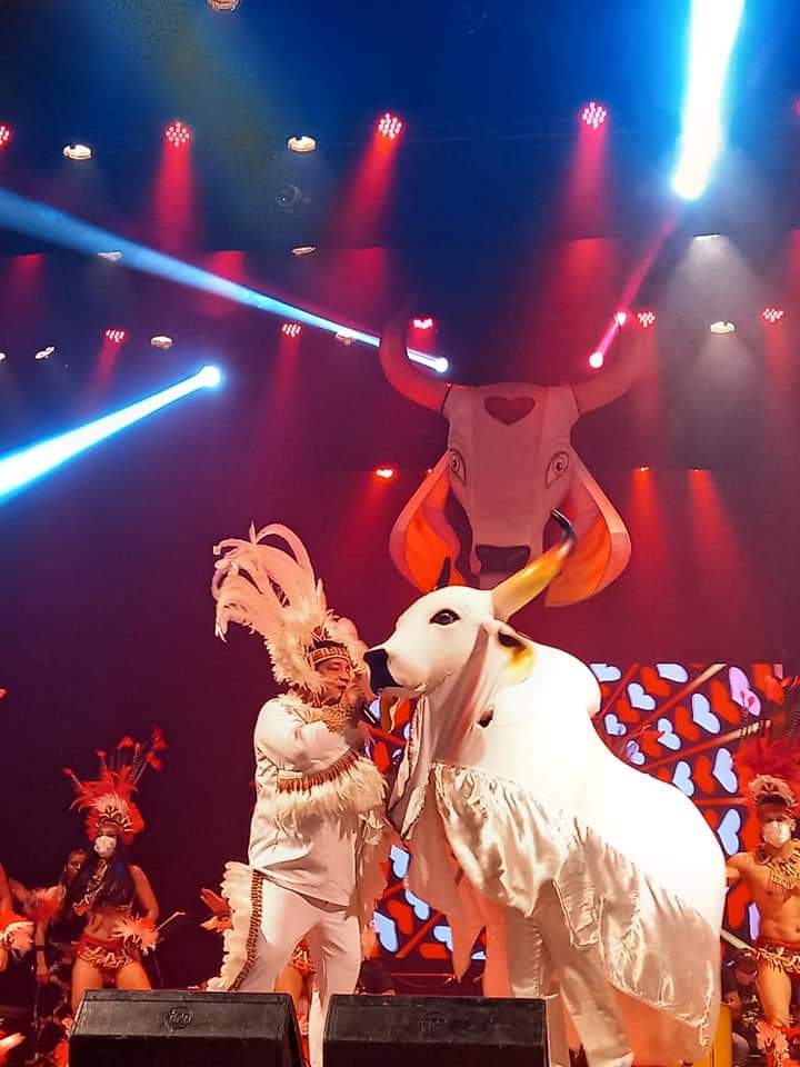 Helen Veras realiza live regada a solidariedade e muitas toadas de boi-bumbá