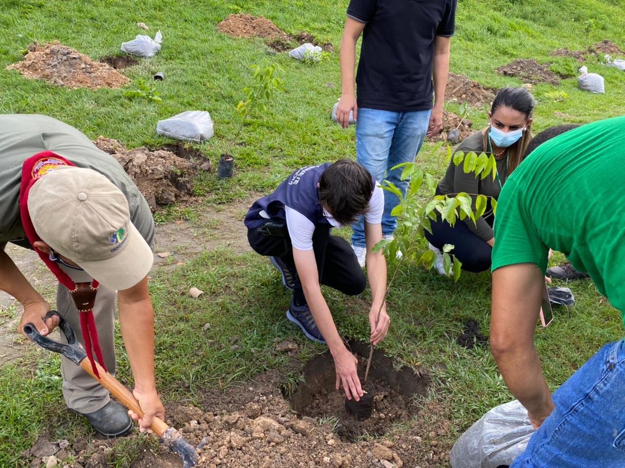 Projeto Galho Forte ultrapassa mil árvores plantadas no dia mundial do meio ambiente
