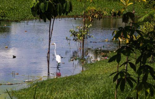 BID recebe proposta de fortalecimentos institucionais ao Prosamin+