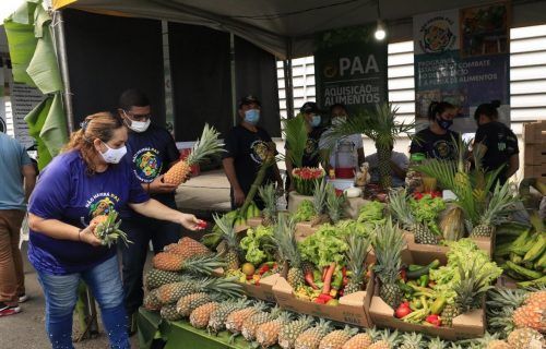 Governo  lança programa de combate ao desperdício de alimentos em feiras
