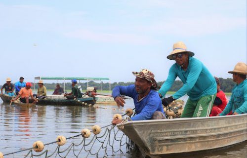Sexta-feira (1/10) inicia recadastramento de pescadores artesanais do Amazonas