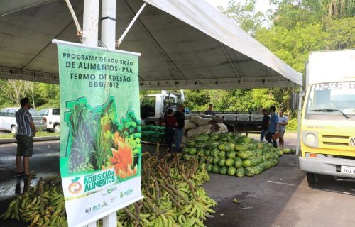 Agricultores familiares do Amazonas recebem pagamento por alimentos comercializados