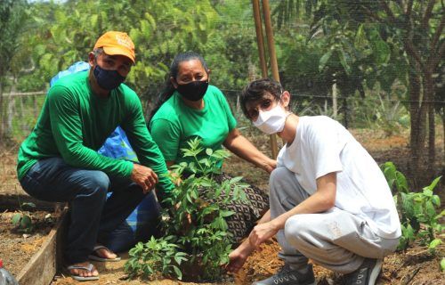 Projeto Galho Forte comemora o plantio de 3 mil árvores em Manaus