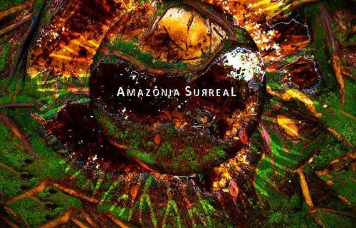 Gisele Riker lança exposição ‘Amazônia Surreal’ dia 4 de dezembro