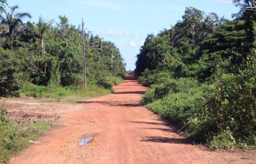Governo do Amazonas irá pavimentar Ramal do Mapiá