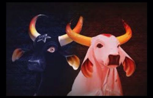 Caprichoso e Garantido abrem temporada de ensaios em Manaus