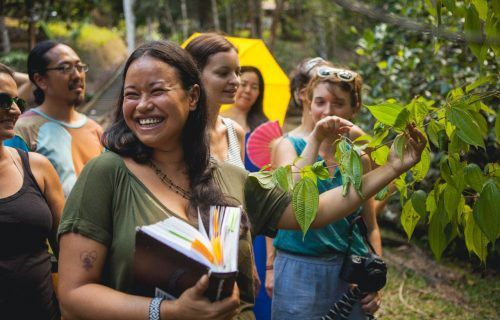 Artistas da Amazônia Legal tem até domingo para inscrição no Labsonora