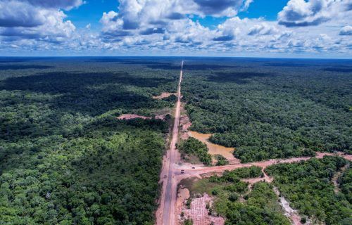 Devastação da floresta amazônica é destaque em podcast