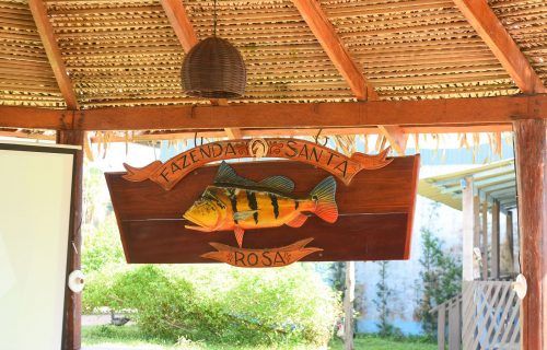 Feira de Agronegócios oferece imersão para desenvolvimento do empreendedorismo rural