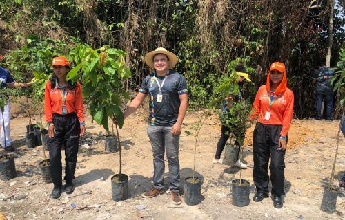 Manaus celebra ‘Dia da Árvore’ com ações ambientais