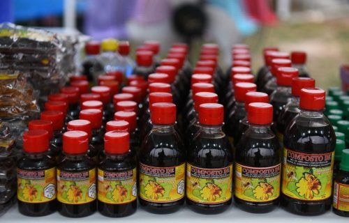 Mel amazonense recebe Selo Arte para comercialização em outros estados