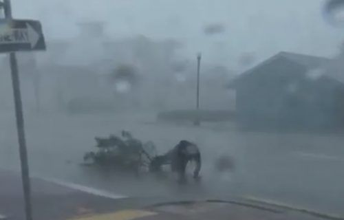 Meteorologista é atingido por árvore e quase voa ao vivo durante passagem de furacão nos EUA