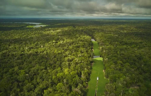 Importância da Amazônia contra crise climática é apresentada pela FAS na COP27