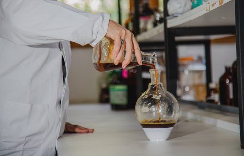 Ciência: Plantas amazônicas tem potencial contra obesidade, colesterol e células tumorais