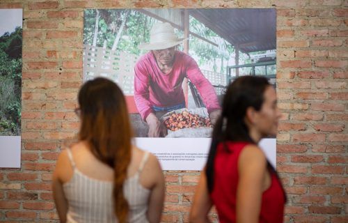 Cultivo do guaraná e produtores em exposição fotográfica
