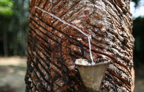 Museu do Seringal tem programação natalina gratuita