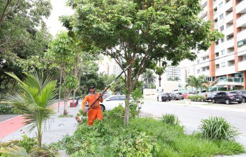 Passeio do Mindu recebe poda de árvores da Prefeitura de Manaus