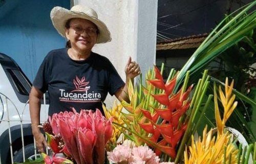 Flores tropicais: únicas e extravagantes