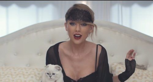 Gata de Taylor Swift é avaliada em R$ 529 milhões