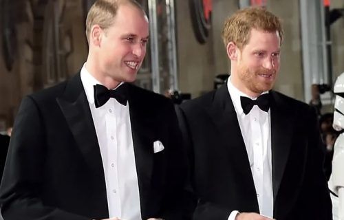 Harry diz em biografia, que William, o atacou e o derrubou no chão
