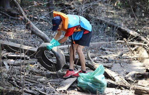 Pacto Global da ONU e Projeto Remada Ambiental promovem mutirão de limpeza na Marina do Davi
