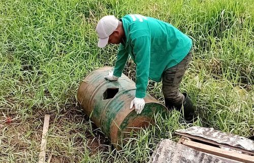 Dengue: Informe epidemiológico divulga cenário atualizado da doença no Amazonas