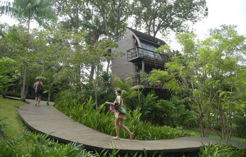 Cresce em 17,5% a geração de empregos no turismo amazonense