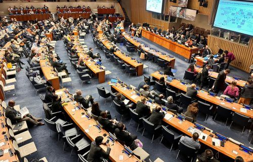 Em Conferência da ONU, SDSN Amazônia defende desenvolvimento sustentável na região
