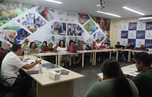 Feira de Produtos Orgânicos e Agroecológico será inaugurada na Ponta Negra