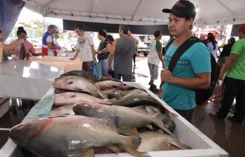 Feirão do Pescado:  Comercialização segue alta pela procura de peixes por conta da Semana Santa