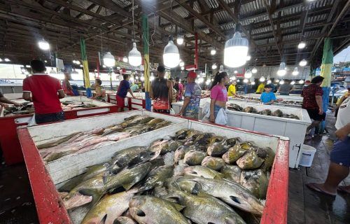 Fiscalização é intensificada nas feiras abastecedoras de pescado