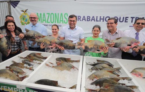 Semana Santa: Wilson Lima anuncia doação de 300 toneladas de peixe para instituições assistenciais