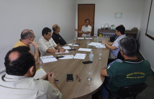 Sepror realiza reunião com Ministério da Agricultura